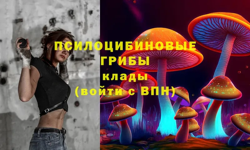 mega зеркало  Лихославль  Галлюциногенные грибы Cubensis  дарнет шоп 